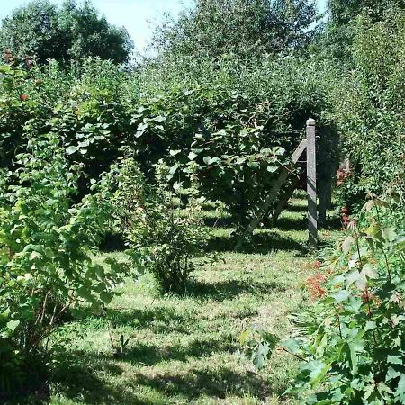 Le Clos Des Tilleuls La Vendelée Exterior foto